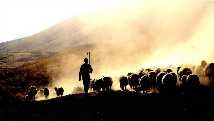 Çobana cinsel saldırıda bulunup dövdüler