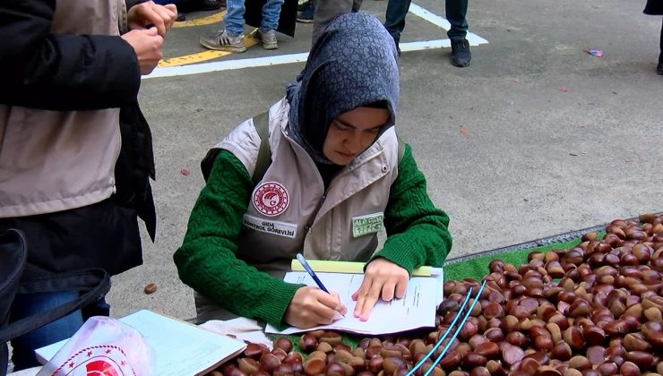 Pazarda Çin kestanesi alarmı
