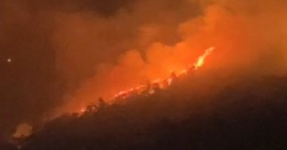 Bursa’da çıkan orman yangını kontrol altına alındı