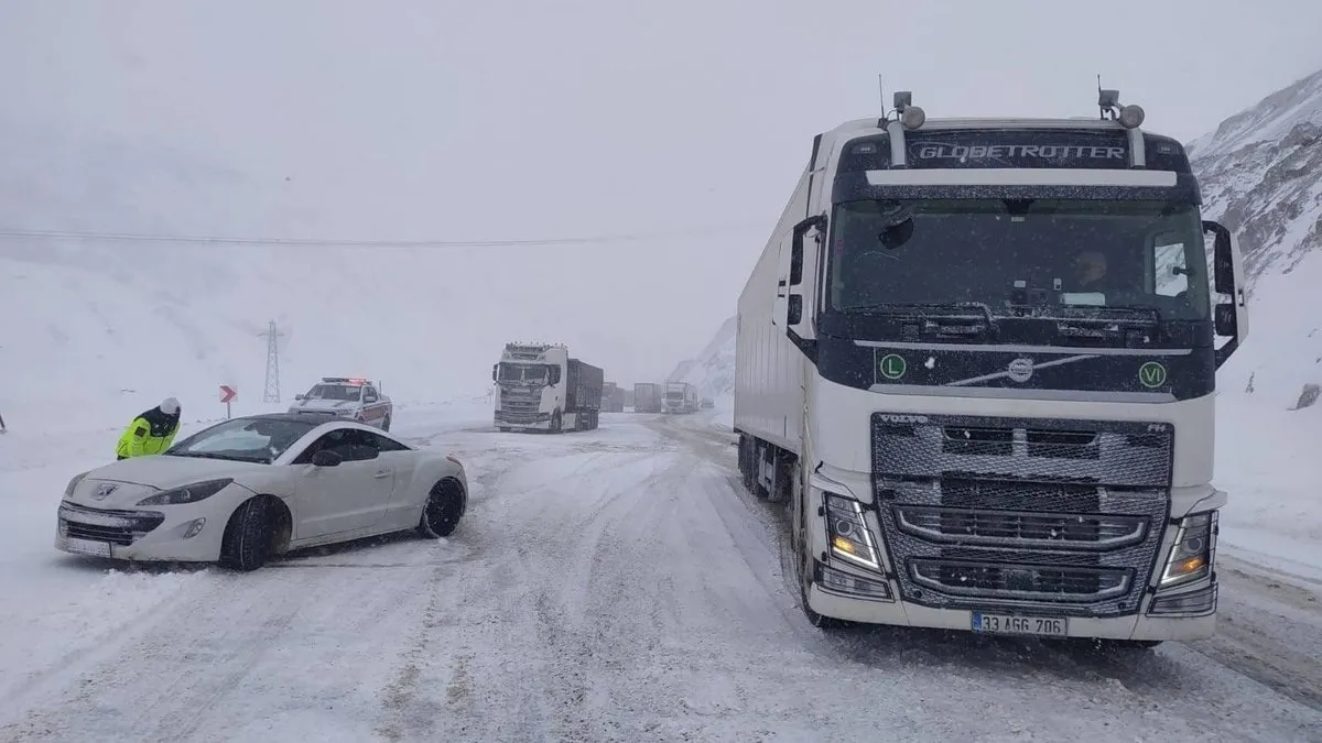 Doğu Anadolu’da Sibirya soğukları hayatı dondurdu