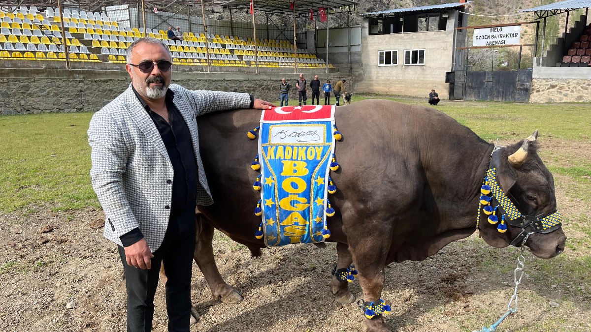 Fenerbahçe taraftarından Ali Koç’a boğalı destek